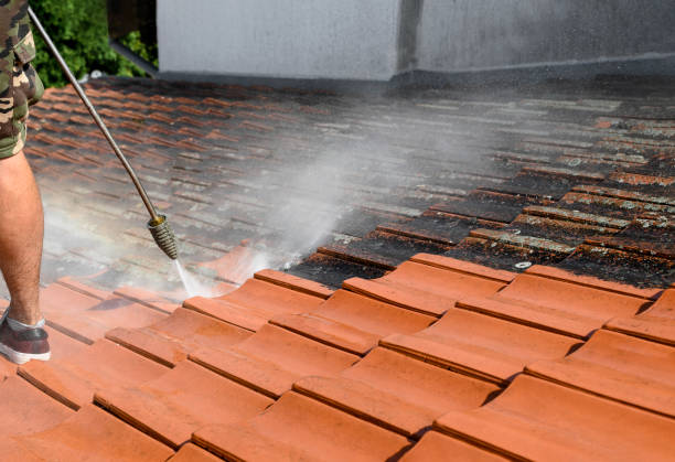 Best Residential Pressure Washing Services  in Teaticket, MA